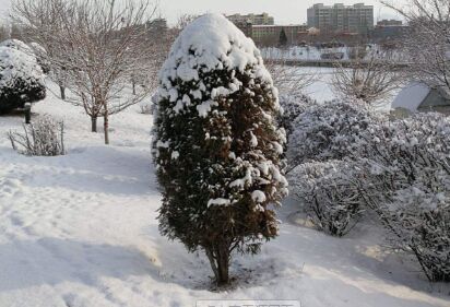 包頭化雪劑生產(chǎn)廠家搞好質(zhì)量和終端設(shè)施服務(wù)項(xiàng)目是品牌建設(shè)的關(guān)緊